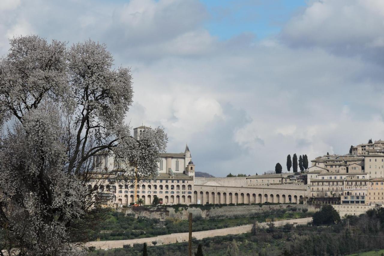 Da Franca Bed & Breakfast Assisi Exterior photo